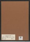 Isthmiella enervis (Ehr.) Cleve (de-Toni-Nr.: Genus 116, Species 3327) Zeichnungen Sammlung Grunow Mappe 03540 (Herbarium_W_Grunow_drawings_Folder_03540)